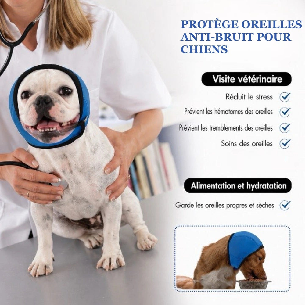 Casque anti-bruit pour chien bleu