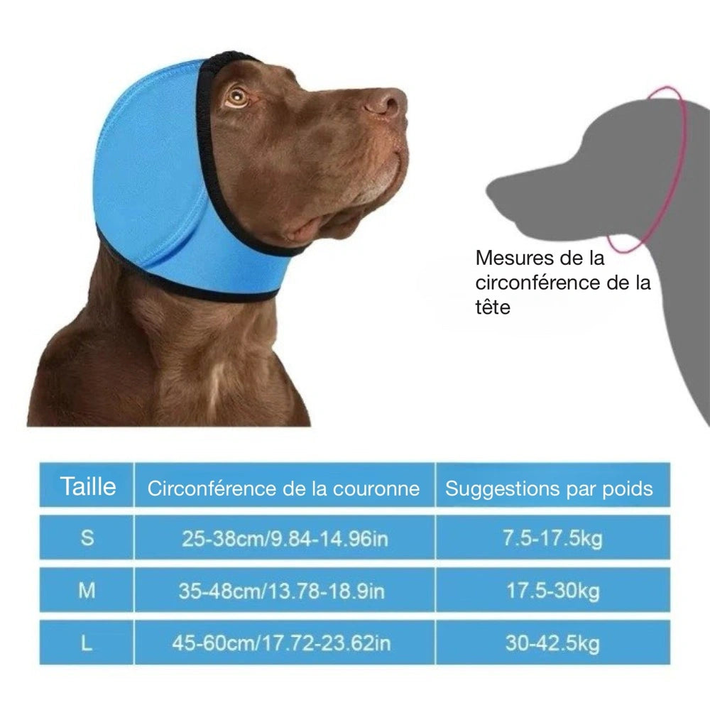 Casque anti-bruit pour chien bleu