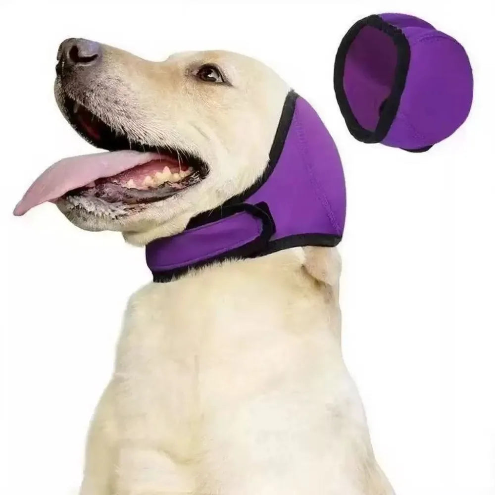 Protection anti bruit pour chien