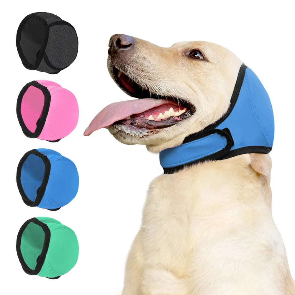Protection anti bruit pour chien