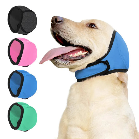 Protection anti bruit pour chien