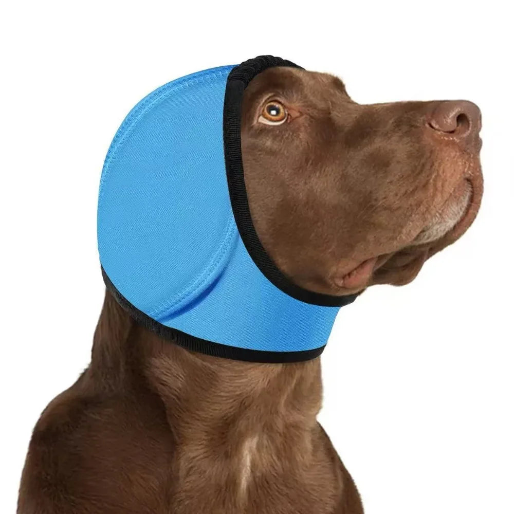 Casque anti-bruit pour chien bleu