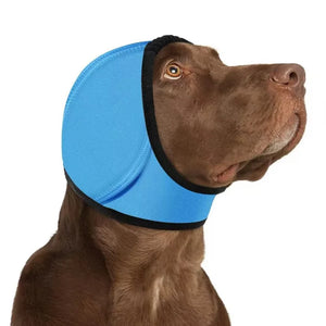 Protection anti bruit pour chien