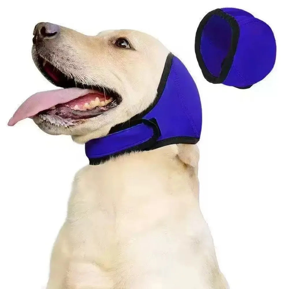 Protection anti bruit pour chien