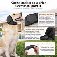 details du produit 