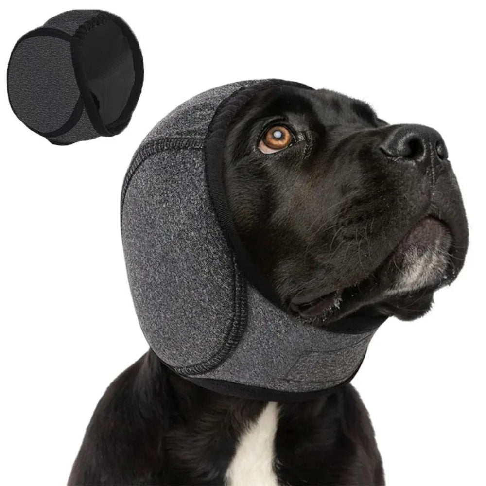 casque anti-bruit pour chien en gris 