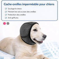 bien faits cache oreille pour chien 